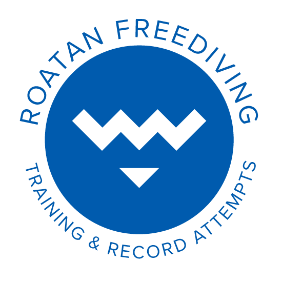 Descuento en HONDURAS Luna Beach Resort obtienes un 15 % OFF en la mas importante Escuela de Buceo – «ROATAN FREEDIVING SCHOOL & TRAINING CENTER» si Tenes tu Tarjeta TheClubGlobal te esperamos en Roatan Freediving School Escuela de Buceo.